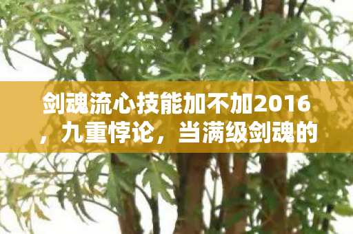 剑魂流心技能加不加2016，九重悖论，当满级剑魂的流心刺穿现实废墟的灵魂震颤