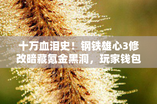 十万血泪史!钢铁雄心3修改暗藏氪金黑洞,玩家钱包被掏空真相曝光 十万血泪史!钢铁雄心3修改暗藏氪金黑洞,玩家钱包被掏空真相曝光