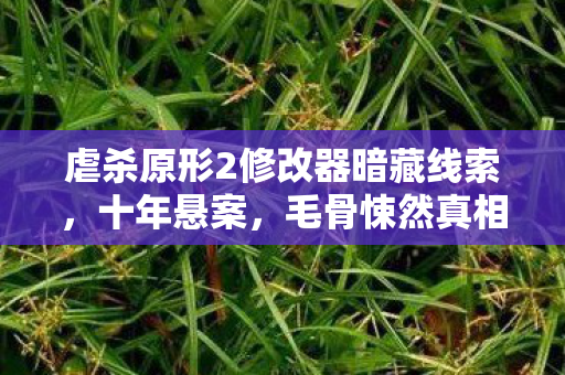 虐杀原形2修改器暗藏线索,十年悬案,毛骨悚然真相竟在代码深处 虐杀原形2修改器暗藏线索,十年悬案,毛骨悚然真相竟在代码深处