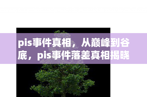 pis事件真相,从巅峰到谷底,pis事件落差真相揭晓,笑着笑着就哭了 pis事件真相,从巅峰到谷底,pis事件落差真相揭晓,笑着笑着就哭了