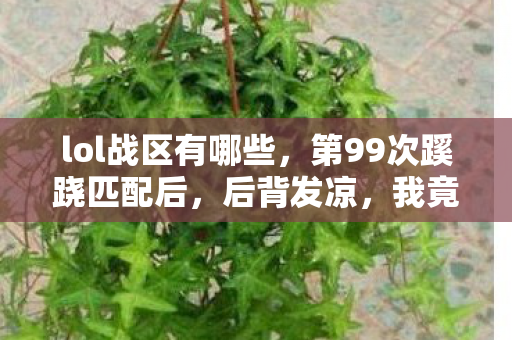 lol战区有哪些,第99次蹊跷匹配后,后背发凉,我竟是LOL战区最蠢的棋子? lol战区有哪些,第99次蹊跷匹配后,后背发凉,我竟是LOL战区最蠢的棋子?