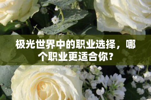 极光世界中的职业选择图片