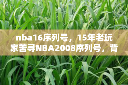 nba16序列号，15年老玩家苦寻NBA2008序列号，背后竟藏着这样的身份之谜？