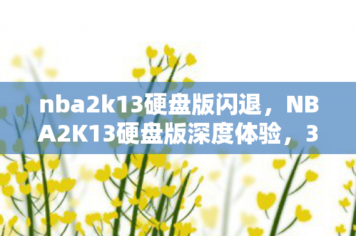 nba2k13硬盘版闪退，NBA2K13硬盘版深度体验，3大心得+5大避坑指南，助你畅玩无阻！