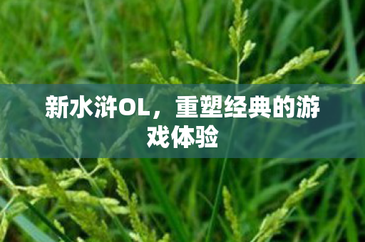 重塑经典的游戏体验图片