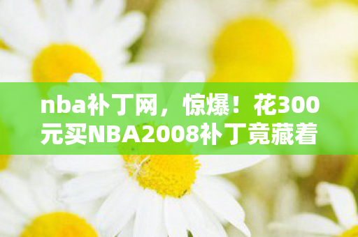 nba补丁网，惊爆！花300元买NBA2008补丁竟藏着这隐情，吓一跳！