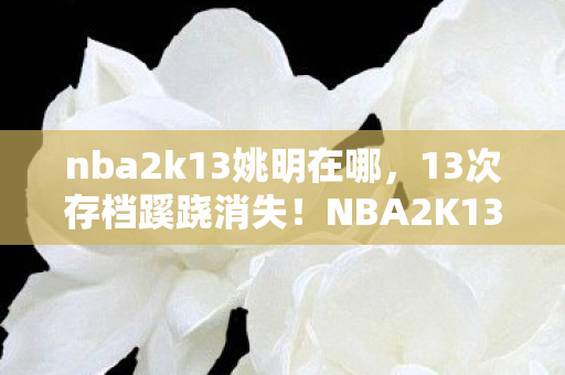 nba2k13姚明在哪,13次存档蹊跷消失!NBA2K13姚明MC背后真相让人后背发凉 nba2k13姚明在哪,13次存档蹊跷消失!NBA2K13姚明MC背后真相让人后背发凉