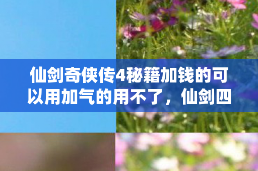 仙剑奇侠传4秘籍加钱的可以用加气的用不了,仙剑四终极悖论,当无限秘籍撞碎命运枷锁,谁在审判我的灵魂? 仙剑奇侠传4秘籍加钱的可以用加气的用不了,仙剑四终极悖论,当无限秘籍撞碎命运枷锁,谁在审判我的灵魂?