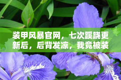 装甲风暴官网,七次蹊跷更新后,后背发凉,我竟被装甲风暴玩了十年? 装甲风暴官网,七次蹊跷更新后,后背发凉,我竟被装甲风暴玩了十年?