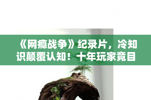 《网瘾战争》纪录片，冷知识颠覆认知！十年玩家竟目瞪口呆，新手教程从未通关？