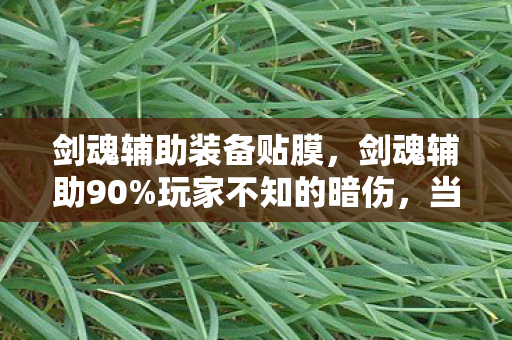 剑魂辅助装备贴膜，剑魂辅助90%玩家不知的暗伤，当狂欢沦为数据囚笼，谁在偷走你的灵魂？