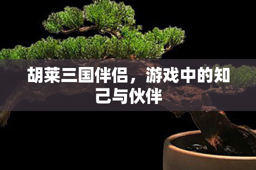 游戏中的知己与伙伴图片