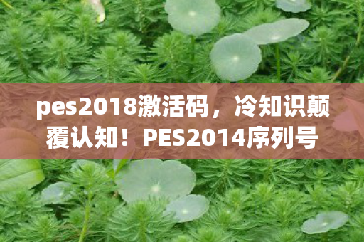 pes2018激活码，冷知识颠覆认知！PES2014序列号背后竟藏着目瞪口呆的时间炸弹