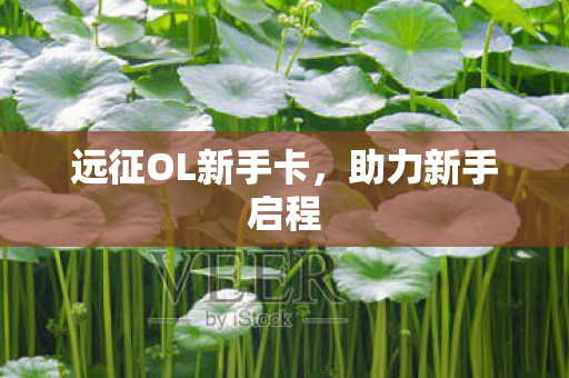 远征OL新手卡图片
