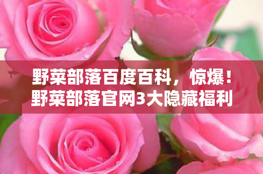 野菜部落百度百科，惊爆！野菜部落官网3大隐藏福利曝光，99%玩家竟不知？