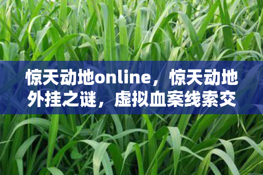 惊天动地online，惊天动地外挂之谜，虚拟血案线索交织，悬案背后毛骨悚然真相