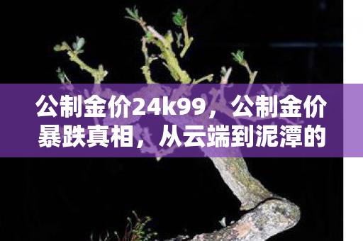 公制金价24k99，公制金价暴跌真相，从云端到泥潭的落差，笑着笑着就哭了