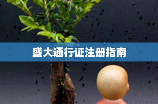 盛大通行证注册指南图片