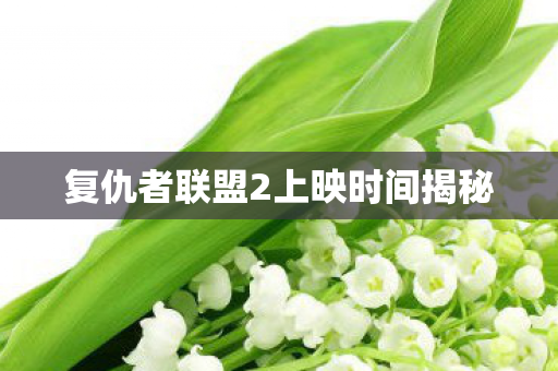 复仇者联盟2上映时间揭秘图片