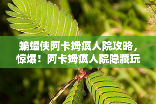 蝙蝠侠阿卡姆疯人院攻略,惊爆!阿卡姆疯人院隐藏玩法竟值500万?背后隐情让人吓一跳! 蝙蝠侠阿卡姆疯人院攻略,惊爆!阿卡姆疯人院隐藏玩法竟值500万?背后隐情让人吓一跳!