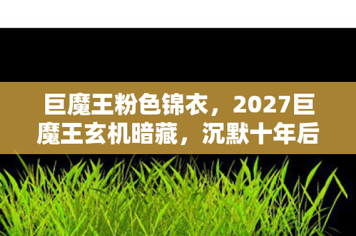 巨魔王粉色锦衣,2027巨魔王玄机暗藏,沉默十年后,我为何还在等一个答案? 巨魔王粉色锦衣,2027巨魔王玄机暗藏,沉默十年后,我为何还在等一个答案?