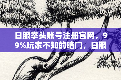 日服拳头账号注册官网,99%玩家不知的暗门,日服注册背后,藏着多少孤独玩家的深夜叹息? 日服拳头账号注册官网,99%玩家不知的暗门,日服注册背后,藏着多少孤独玩家的深夜叹息?