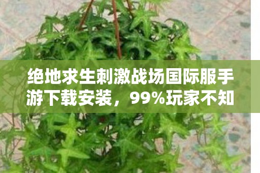 绝地求生刺激战场国际服手游下载安装,99%玩家不知!刺激战场国际服下载暗藏3大惊喜彩蛋,速戳! 绝地求生刺激战场国际服手游下载安装,99%玩家不知!刺激战场国际服下载暗藏3大惊喜彩蛋,速戳!