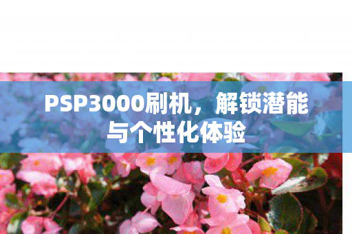 解锁潜能与个性化体验图片