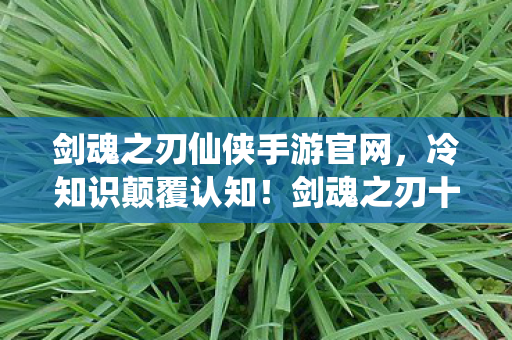 剑魂之刃仙侠手游官网,冷知识颠覆认知!剑魂之刃十年老玩家竟被这些设定目瞪口呆 剑魂之刃仙侠手游官网,冷知识颠覆认知!剑魂之刃十年老玩家竟被这些设定目瞪口呆