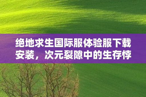 绝地求生国际服体验服下载安装，次元裂隙中的生存悖论，当吃鸡战场成为人生审判庭