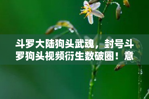 斗罗大陆狗头武魂,封号斗罗狗头视频衍生数破圈!意想不到跨界竟掀潮流风暴 斗罗大陆狗头武魂,封号斗罗狗头视频衍生数破圈!意想不到跨界竟掀潮流风暴