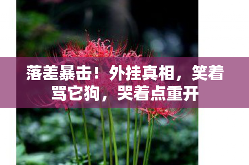 落差暴击！外挂真相，笑着骂它狗，哭着点重开