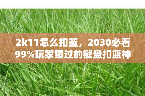 2k11怎么扣篮,2030必看99%玩家错过的键盘扣篮神技!3秒体验NBA巨星炸框快感 2k11怎么扣篮,2030必看99%玩家错过的键盘扣篮神技!3秒体验NBA巨星炸框快感
