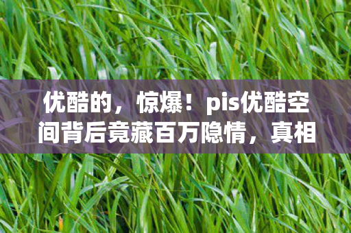 优酷的，惊爆！pis优酷空间背后竟藏百万隐情，真相让人吓一跳！