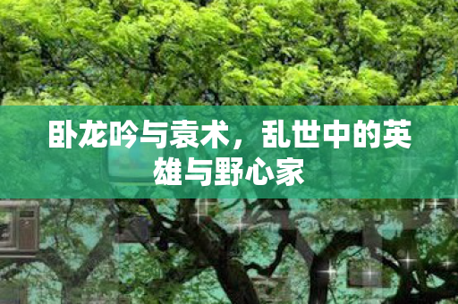 乱世中的英雄与野心家图片