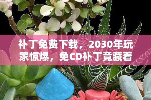补丁免费下载，2030年玩家惊爆，免CD补丁竟藏着跨越十年的震撼真相！
