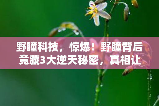 野瞳科技,惊爆!野瞳背后竟藏3大逆天秘密,真相让人心跳加速! 野瞳科技,惊爆!野瞳背后竟藏3大逆天秘密,真相让人心跳加速!