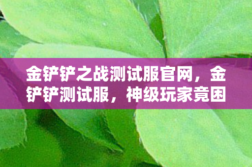 金铲铲之战测试服官网,金铲铲测试服,神级玩家竟困于青铜牢笼?命运悖论下的灵魂震颤 金铲铲之战测试服官网,金铲铲测试服,神级玩家竟困于青铜牢笼?命运悖论下的灵魂震颤
