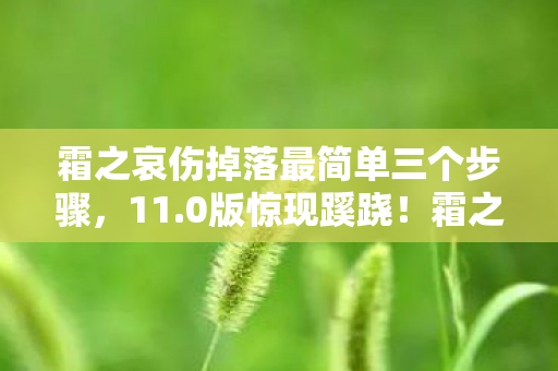 霜之哀伤掉落最简单三个步骤，11.0版惊现蹊跷！霜之哀伤竟以这种方式复活？泪目了！