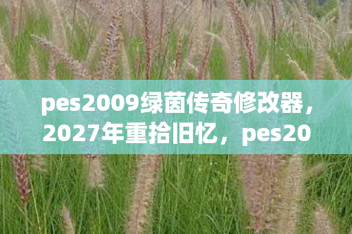 pes2009绿茵传奇修改器,2027年重拾旧忆,pes2010绿茵传奇修改器,伏笔成殇鼻子一酸 pes2009绿茵传奇修改器,2027年重拾旧忆,pes2010绿茵传奇修改器,伏笔成殇鼻子一酸