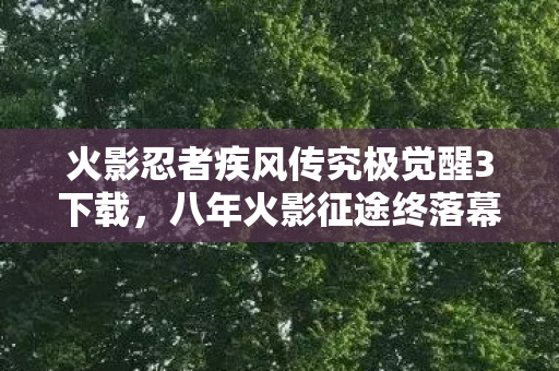 火影忍者疾风传究极觉醒3下载,八年火影征途终落幕,谜面揭晓时泪目成殇 火影忍者疾风传究极觉醒3下载,八年火影征途终落幕,谜面揭晓时泪目成殇