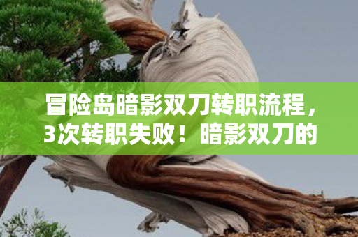 冒险岛暗影双刀转职流程，3次转职失败！暗影双刀的宿命，是弃游还是成为真正的暗夜刺客？