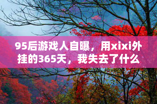 95后游戏人自曝,用xixi外挂的365天,我失去了什么? 95后游戏人自曝,用xixi外挂的365天,我失去了什么?