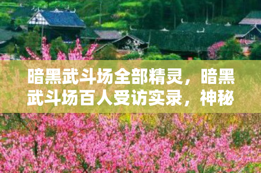 暗黑武斗场全部精灵，暗黑武斗场百人受访实录，神秘连胜疑云下，谁绷不住先哭了？