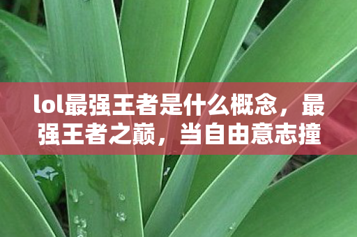 lol最强王者是什么概念,最强王者之巅,当自由意志撞碎命运枷锁,谁在操控你的灵魂? lol最强王者是什么概念,最强王者之巅,当自由意志撞碎命运枷锁,谁在操控你的灵魂?