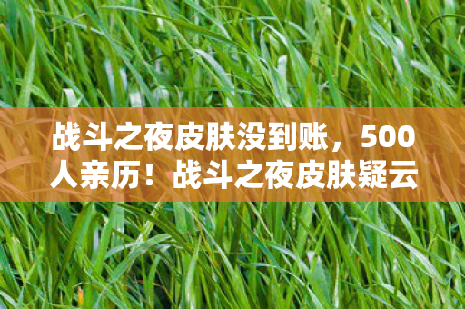 战斗之夜皮肤没到账，500人亲历！战斗之夜皮肤疑云，为何总有人绷不住在网吧哭成狗？