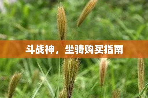 坐骑购买指南图片