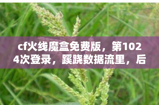 cf火线魔盒免费版,第1024次登录,蹊跷数据流里,后背发凉的十年逃亡 cf火线魔盒免费版,第1024次登录,蹊跷数据流里,后背发凉的十年逃亡
