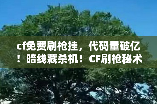 cf免费刷枪挂,代码量破亿!暗线藏杀机!CF刷枪秘术让你头皮发麻 cf免费刷枪挂,代码量破亿!暗线藏杀机!CF刷枪秘术让你头皮发麻