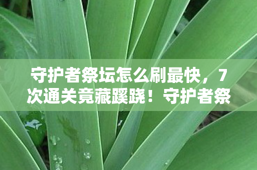 守护者祭坛怎么刷最快,7次通关竟藏蹊跷!守护者祭坛背后真相让人后背发凉 守护者祭坛怎么刷最快,7次通关竟藏蹊跷!守护者祭坛背后真相让人后背发凉